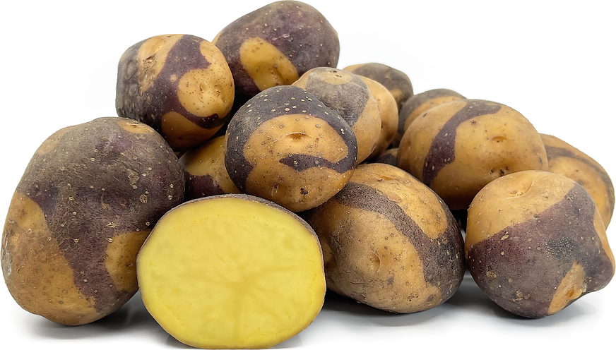 File:Blue Belle variété de pomme de terre.png - Wikimedia Commons
