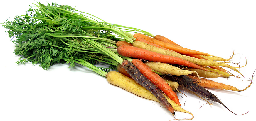 Colored Carrots picture