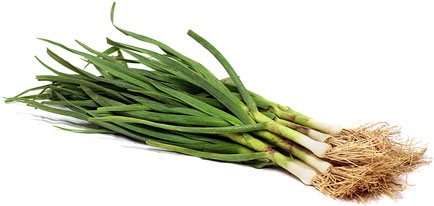 Fresh Green Garlic picture