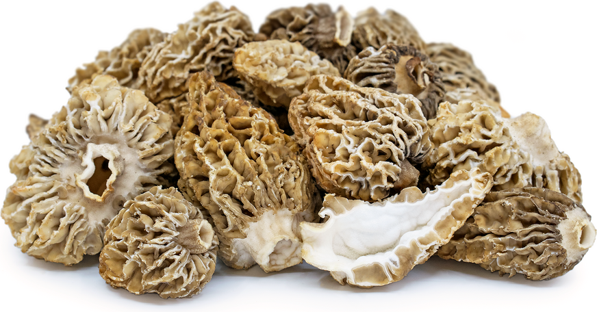 Morel Mushrooms picture