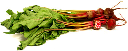 Baby Chioggia Beets picture