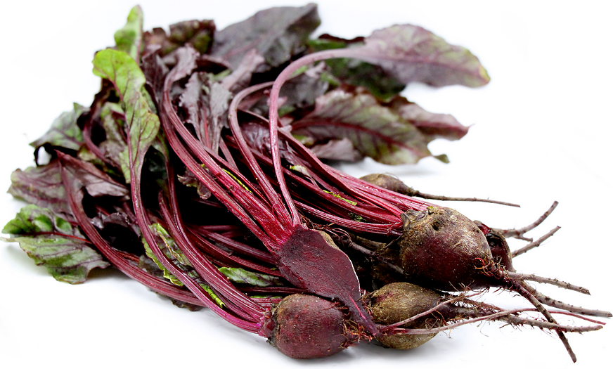 Baby Red Bunch Beets picture