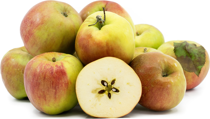 Spitzenburg Apples picture