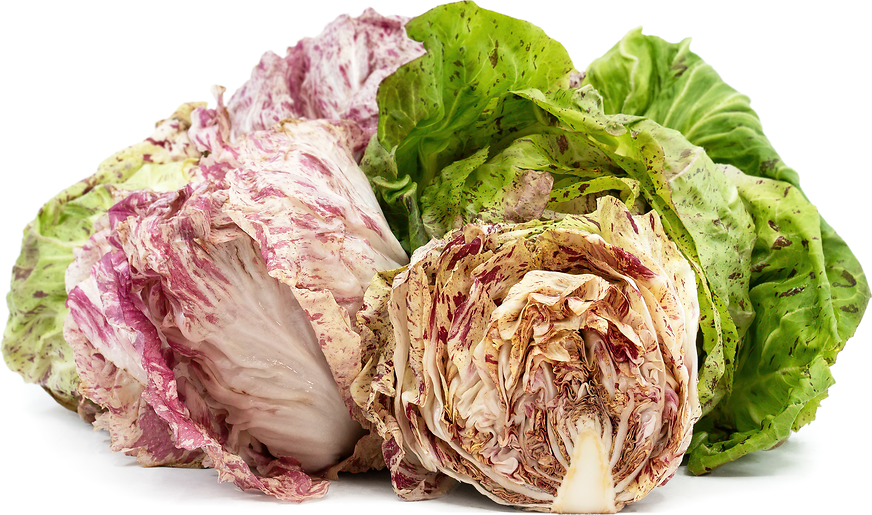 Castelfranco picture