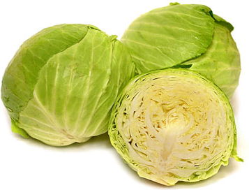Green Cabbage picture