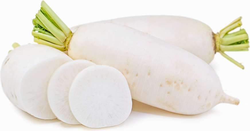 Daikon Radish picture