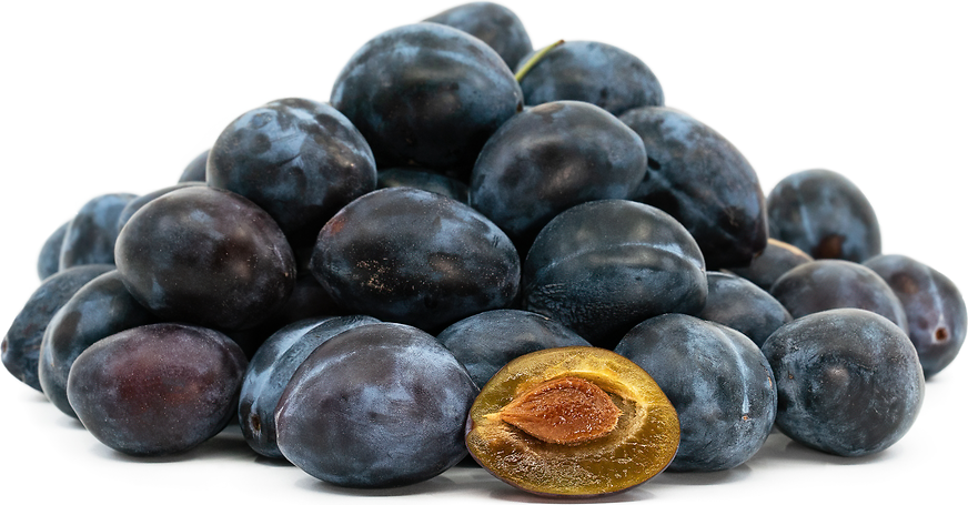 Italian Prune Plums picture