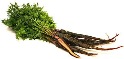 Black Knight Carrots picture