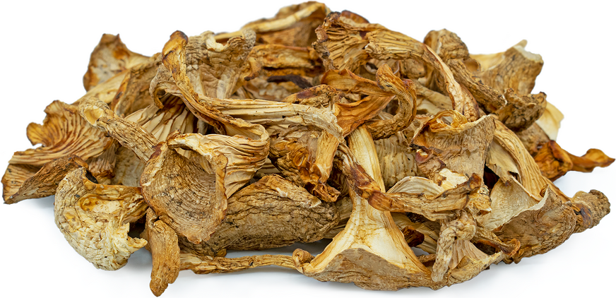 Dried Chanterelle Mushrooms picture