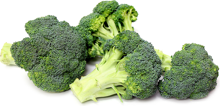 Organic Broccoli picture
