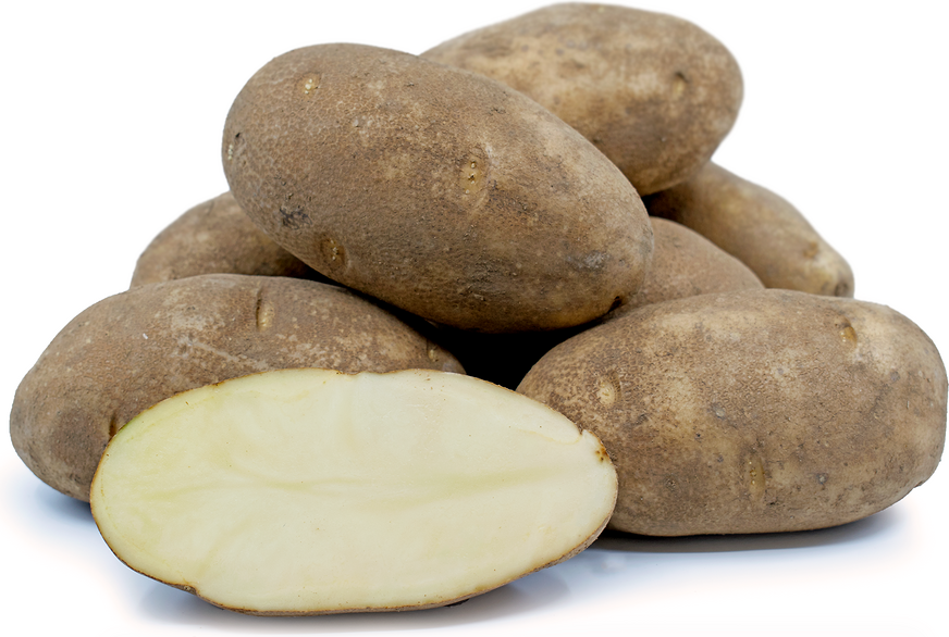 Russet Potatoes picture