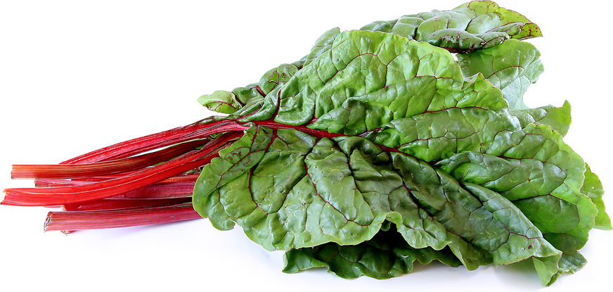 Red Swiss Chard picture