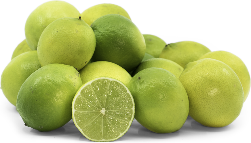 Bearss Limes picture
