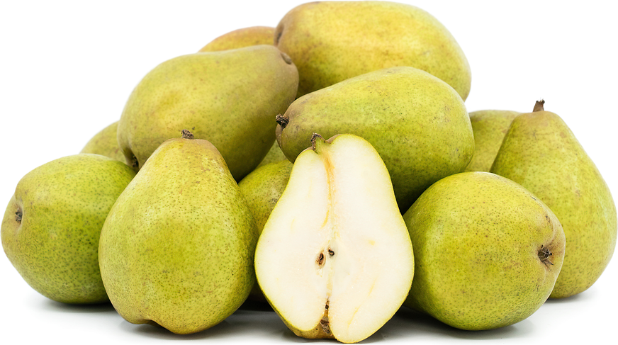 Warren Pears picture