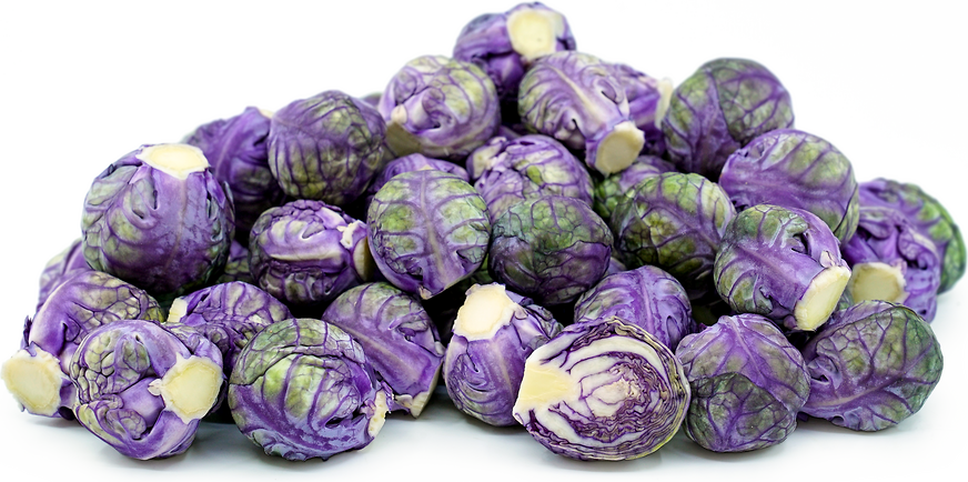 Baby Purple Brussels Sprouts picture
