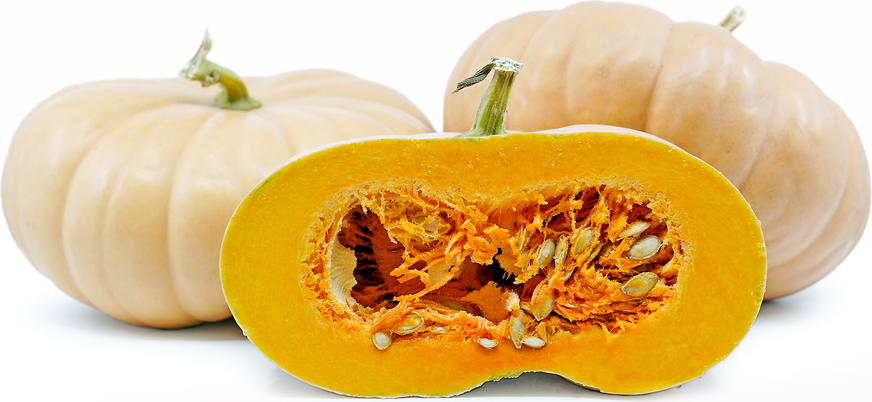 Long Island Cheese Squash picture