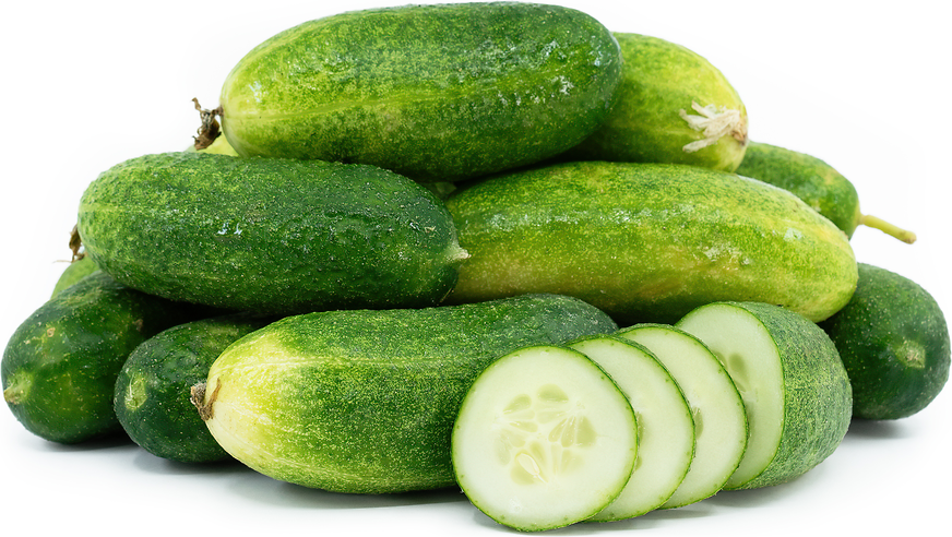 Gherkin Cucumbers picture
