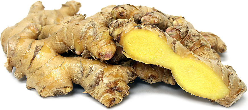 Organic Root Ginger picture