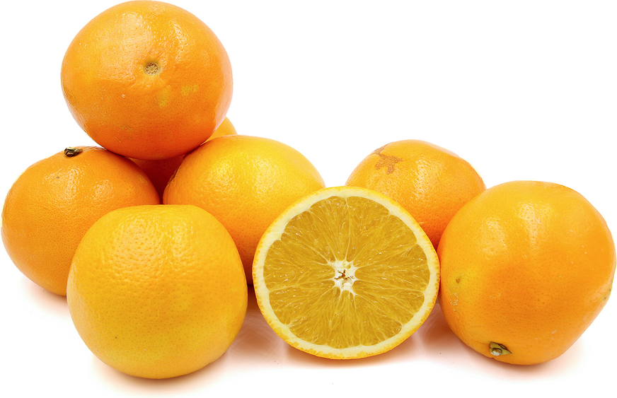 Jumbo Navel Oranges picture
