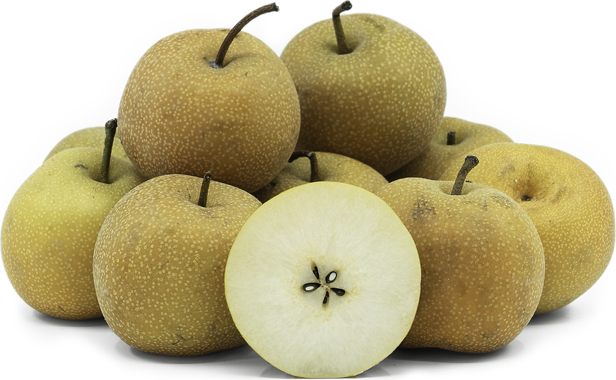 Hosui Asian Pears picture