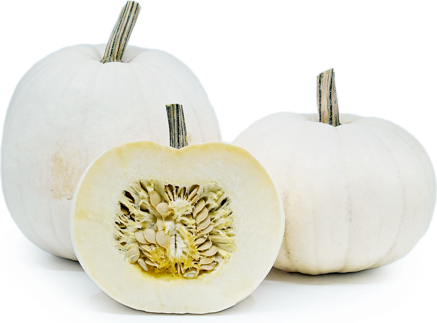 Pumpkins Lumina (White) picture