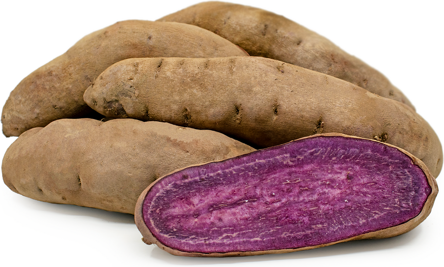 Stokes Purple® Sweet Potato picture