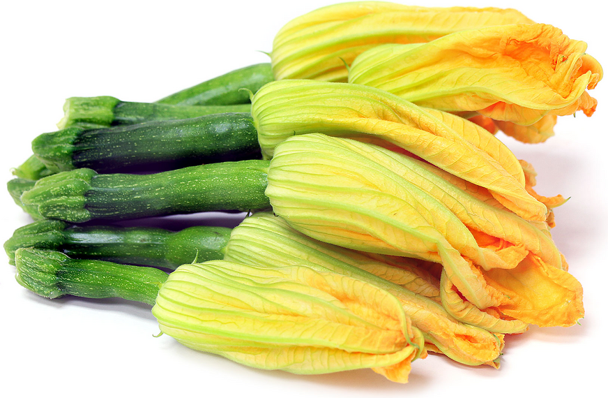 Zuchini with Flower picture