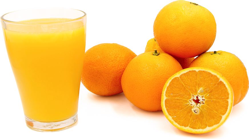Organic Orange Valencia picture