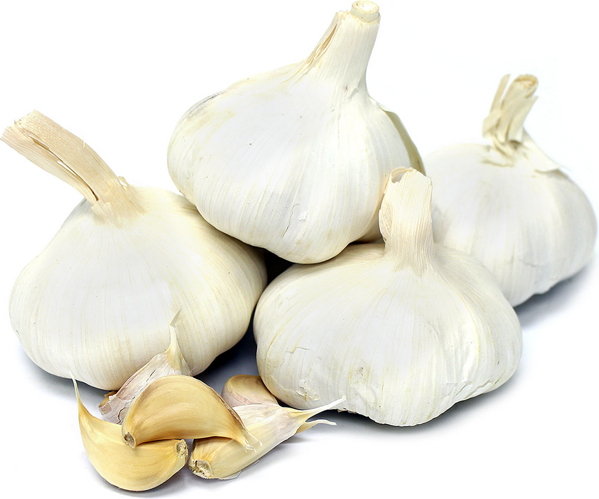 Organic Garlic picture