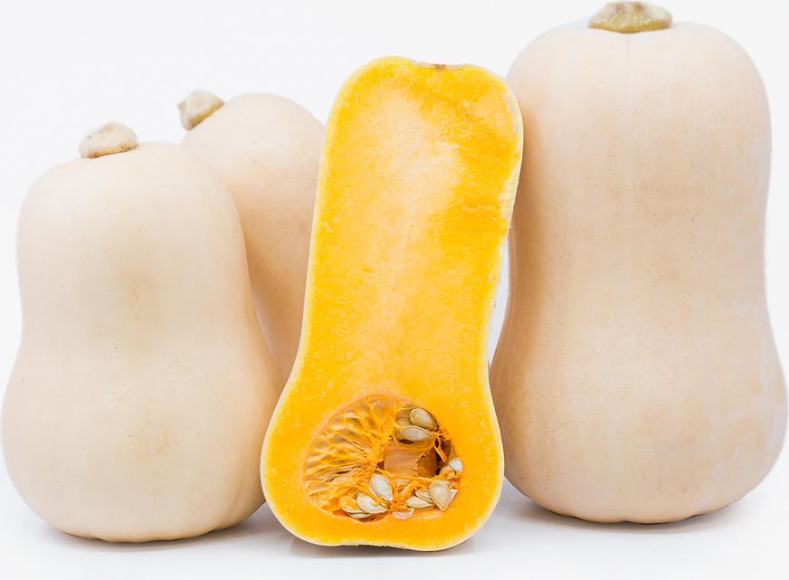 Organic Squash Butternut picture