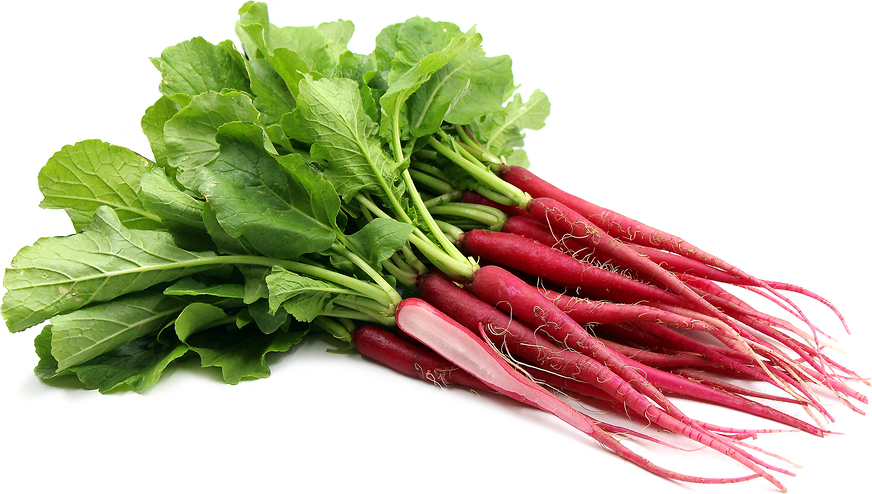 Cincinnati Market Radishes picture