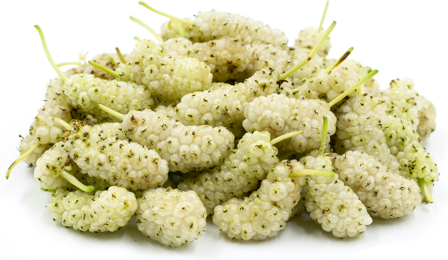 White Mulberries picture