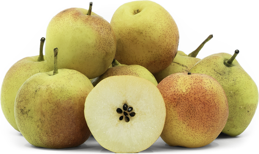 Papple Pears picture