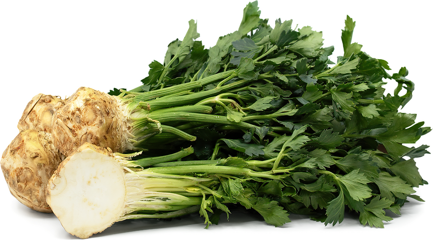 Celery Root picture