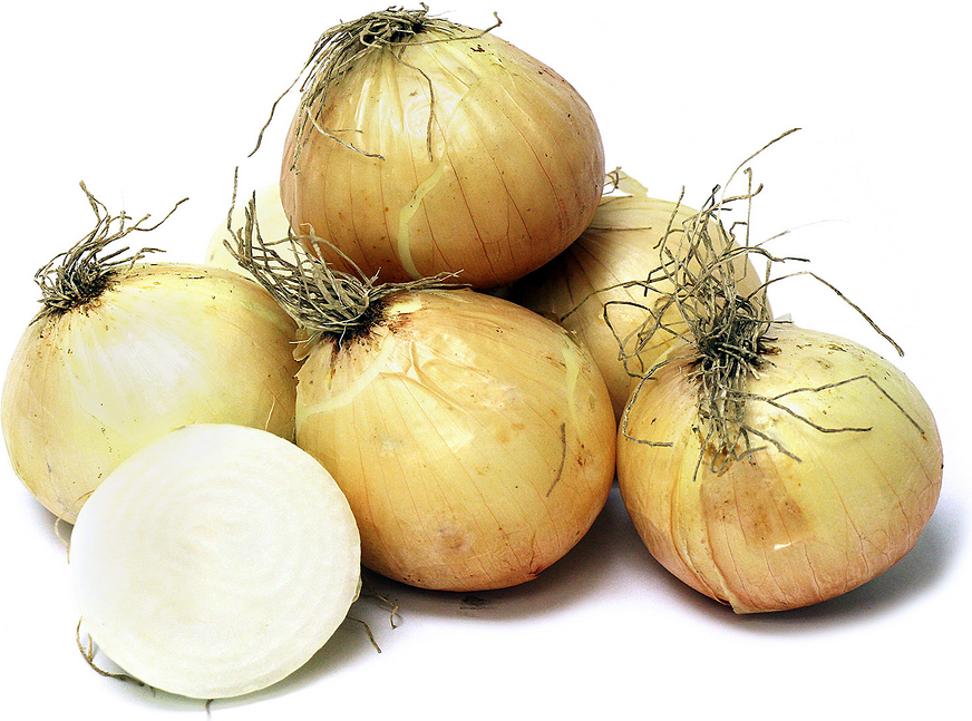 Temecula Honey Onion picture