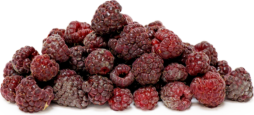 Purple Raspberries picture