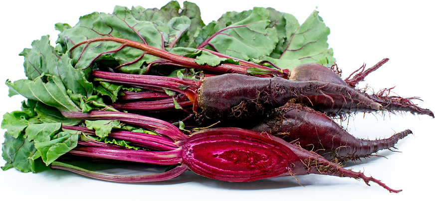 Red Cylindra Beets picture