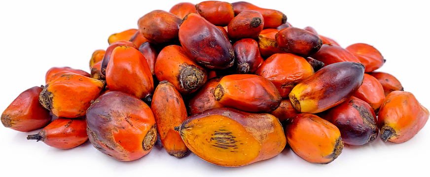 Image result for Palm fruit