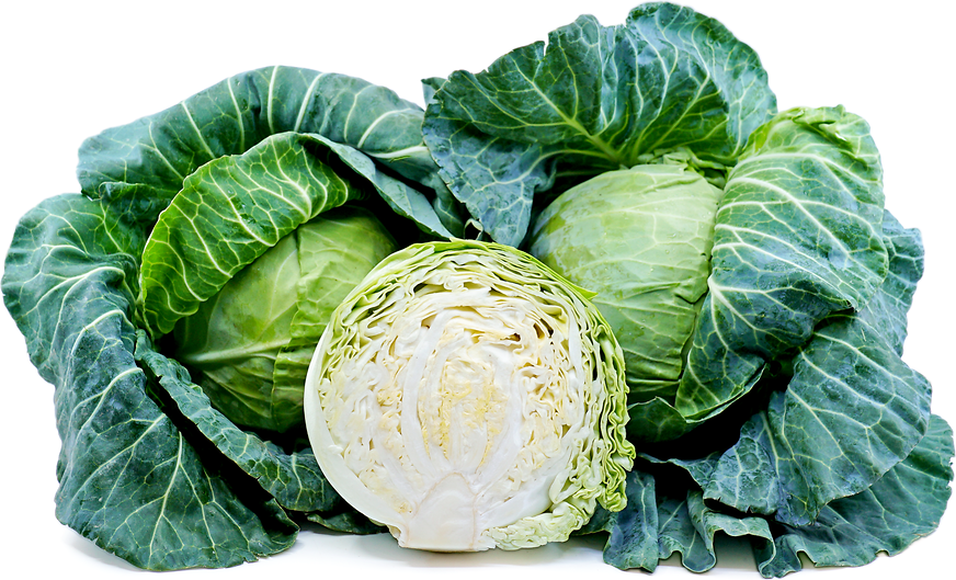 cabbage à®à¯à®à®¾à®© à®ªà® à®®à¯à®à®¿à®µà¯