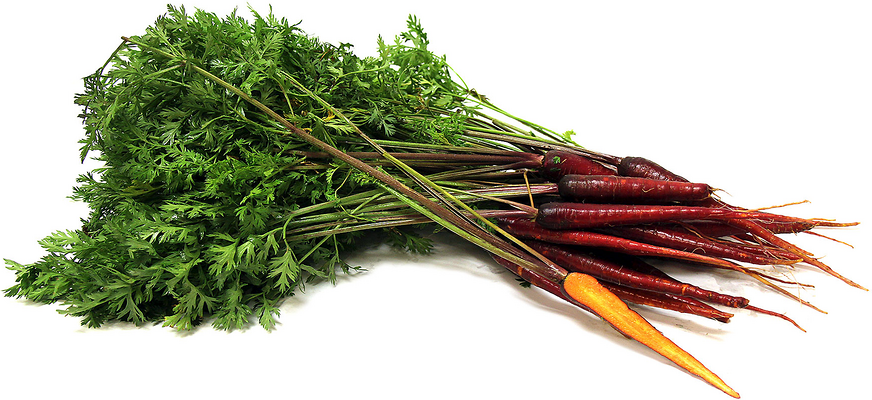 Atomic Red Carrots picture