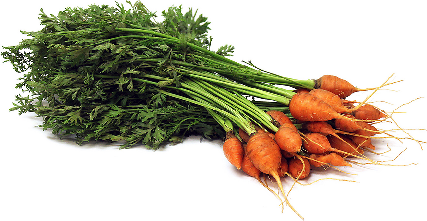 Thumbelina Carrots picture
