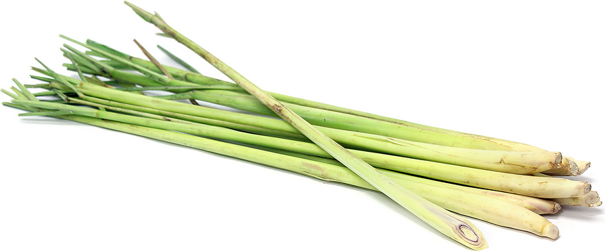 Lemongrass picture