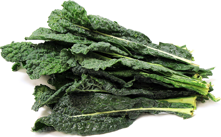 Tuscan Kale picture