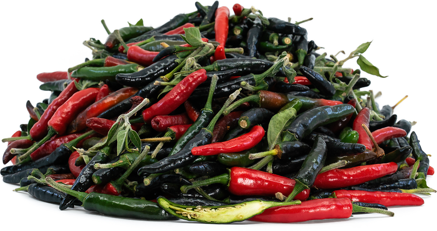 Black Cobra Chile Peppers picture