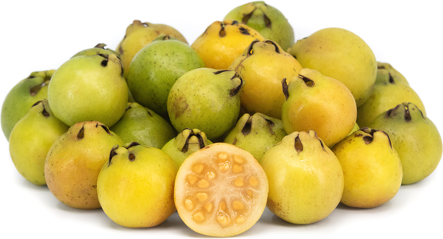 Lemon Guavas picture