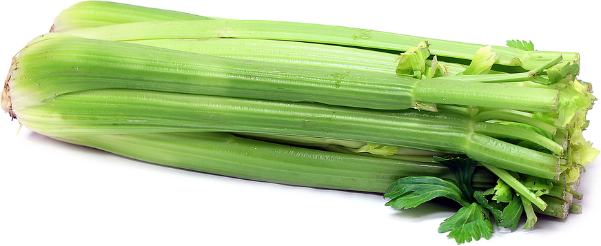 Organic Celery picture
