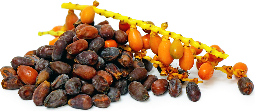 Senegal Date Palm picture