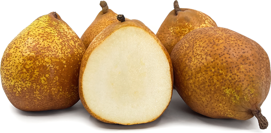 General Leclerc Pears picture