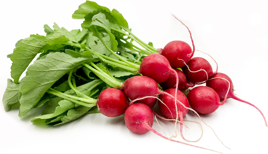 Japanese Red Cherry Radish picture