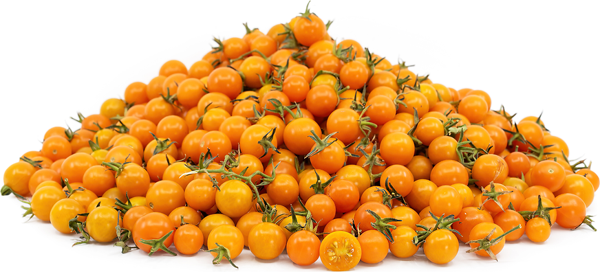 Sungold Cherry Tomatoes picture